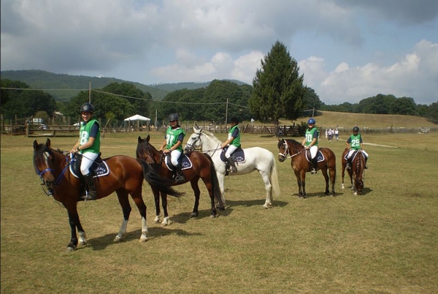  Preparation for horse races 
